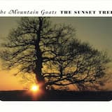 Hast Thou Considered the Tetrapod?