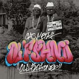 Force Of The Beast (Remix)