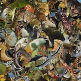 Liittävä Saunatonttu