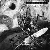 The Boy With the Gun