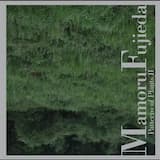 The Fourteenth Collection: Pattern D