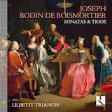 Sonate II en ré majeur, op. 41: I. Grave