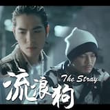 流浪狗 (The Stray)