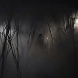 Dead Leaves and Black Candles