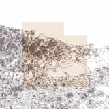 La Giostra Nel Vento