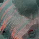 ☷ B̶l̶i̶n̶d̶ ̶s̶p̶o̶t̶ / In the realms of the unreal / Firefly luciferin