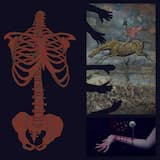 That Point in Life Where Not Even Lying to Yourself Can Make Yourself Feel Better