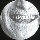 Snug (As Snug as a Bug in a Rug)