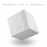 i could stay here forever, she said