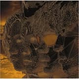 浸食 -lose control-