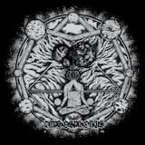 Indulge Me in Silence