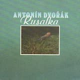 Květiny bílé po cestě