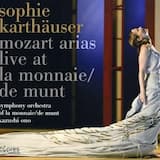 Zaïde K. 344: Tiger!