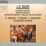 Bauern-Kantate BWV 212 - 23. Recitativo (Basso): Mein Schatz, Erraten!