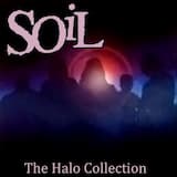Halo (Live)