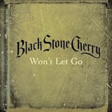 Won’t Let Go (pop mix)