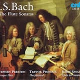 Sonata for Flute & Keyboard in B minor, BWV 1030: II. Largo e dolce