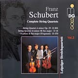 Quartet in G minor / B flat major, D. 18: I. Andante - Presto vivace