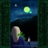 Leaving the Vale of Wind at Night