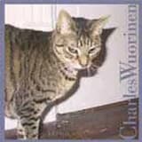 New York Notes: Part III