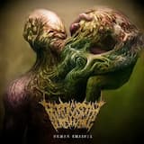 Excruciating Inundation of Insanely Irrational Mental Formations