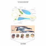 Right Whale - Humpback