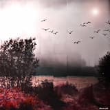 Cybernetic (POST HUMAN)