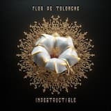 El corrido de David y Goliat