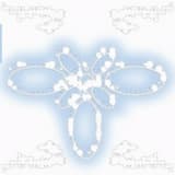 Today I Taught Them How to How to Skip Stones Across the Lake