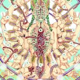 Volt Strawberry 194iv