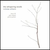 Dream of the Painted Turtle