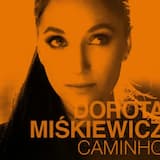 Chodzę po domu i tęsknię