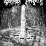 Eternal in My Domain