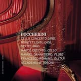 Quintetto n. 7 in mi minore, G451 per chitarra e quartetto d’archi: Allegro moderato