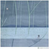 У мене немає дому