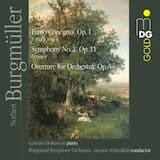Symphony No. 2, in D Major, Op. 11: III. Scherzo. Presto