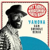 Yamona (Detroit Swindle remix)