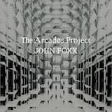 Starlit Summer Night