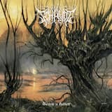 Waar schimmen immer doen