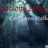 Evergreen Stalker