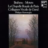 Deux motets, op. 74: No. 2. O Heiland, reiß die Himmel auf