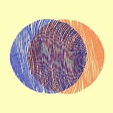 De Karekiet van Karakas