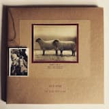 Ancestral Lines __ the Emotional Nodes/Memory Veins/Sleeping Birds