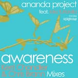 Awareness (Kerri Chandler original Concept instrumental mix)