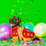 言い尽くすトークします間も無く