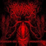 The Fall of Wallachia