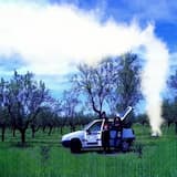 Build a Fire (Pomona California)