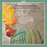 Piano Concerto in D minor, op. 7: II. Largo