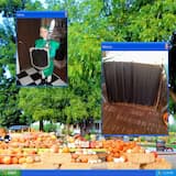 Carving Pumpkins || Scary Movie in the Living Room