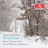 Winterreise: XXIII. Die Nebensonnen